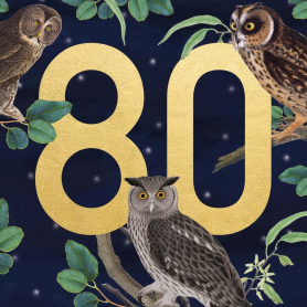Owls 80|Museums & Galleries