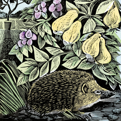 Hedgehog And Fruits