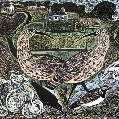 Fair Isle Curlews And The South Lighthouse