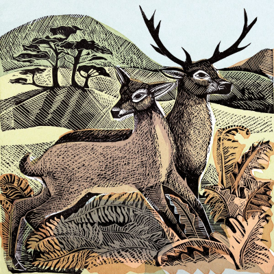 Deer And Autumn Bracken