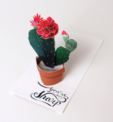 Cactus|UWP Luxe