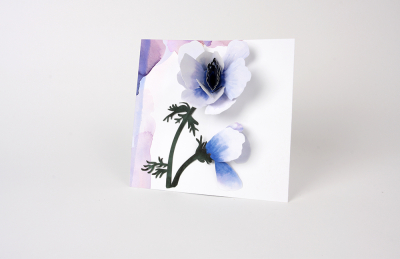 Anemone Flower|UWP Luxe