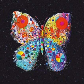 Butterfly From Heaven