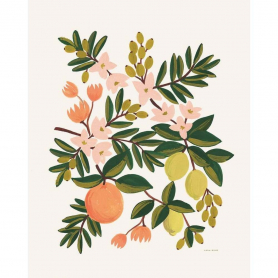 Citrus Floral Print (16x20)|Rifle Paper