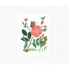Garden Rose Print (16x20)|Rifle Paper