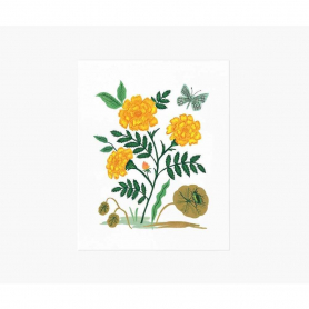 French Marigold Print (16x20)|Rifle Paper