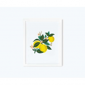 Lemon Blossom Art Print (11x14)|Rifle Paper