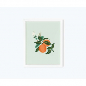 Orange Blossom Art Print (11x14)|Rifle Paper