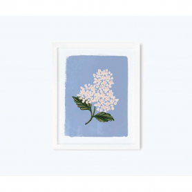 Hydrangea Bloom Blue Art Print (11x14)|Rifle Paper