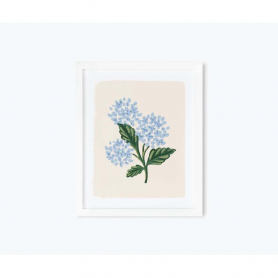 Hydrangea Bloom Cream Art Print (11x14)|Rifle Paper