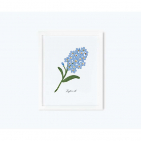 Forget-Me-Not Art Print (11x14)|Rifle Paper