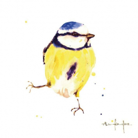 Blue Tit|Museums & Galleries