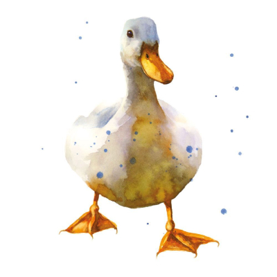 Waddling White Duck