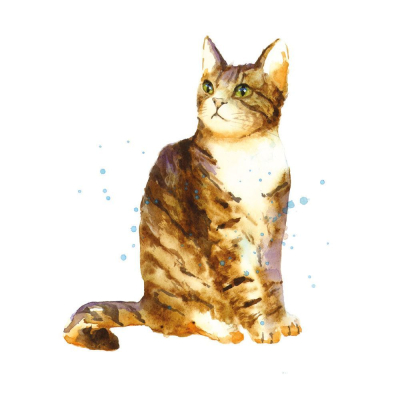 Alisons Cat|Museums & Galleries