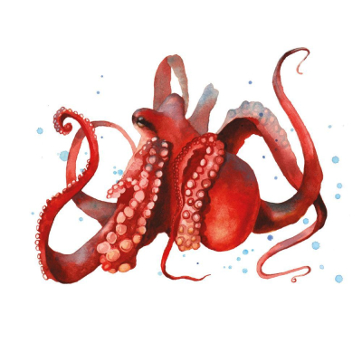 Ollie Octopus|Museums & Galleries