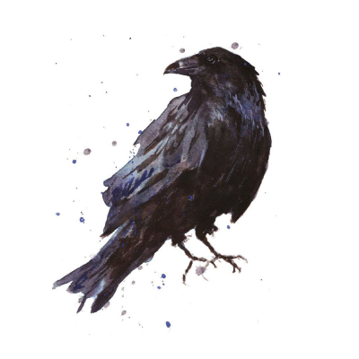Raven|Museums & Galleries