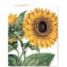 Miller Sunflower