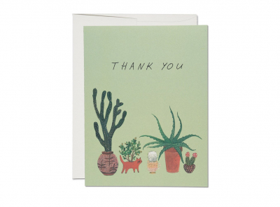Cactus Thank You boxed set|Red Cap Cards