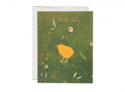 Baby Chick|Red Cap Cards