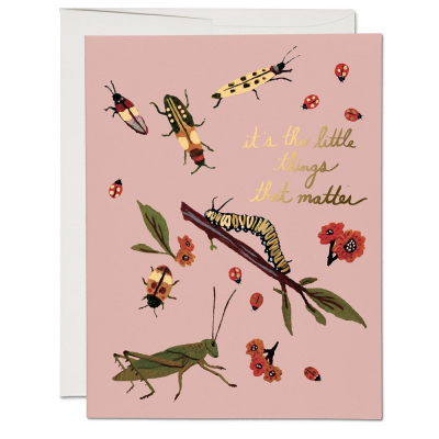 Little Bugs|Red Cap Cards