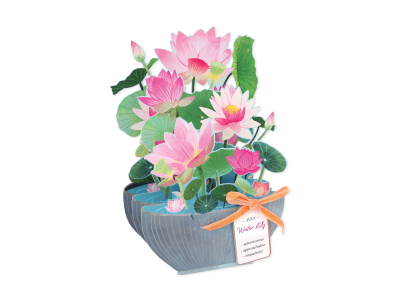 July-Water Lily|Up With Paper