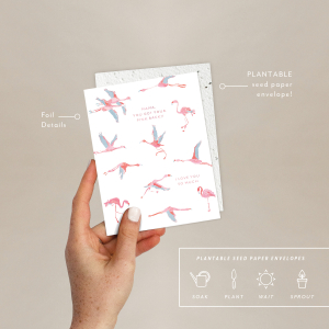 Flamingos Love + Friendship Card|Seedlings
