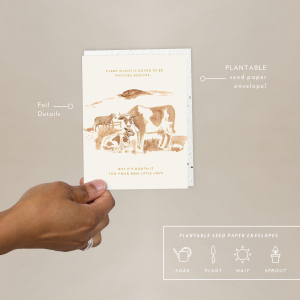 Pasture Bedtime Baby Card|Seedlings