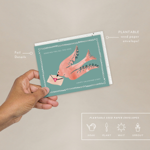 Dove Valentines Card|Seedlings