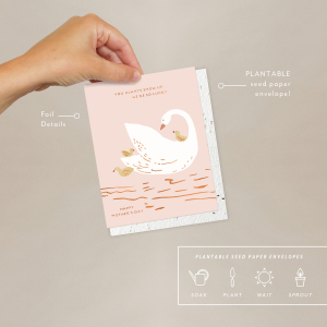Mama Swan Mothers Day Card|Seedlings