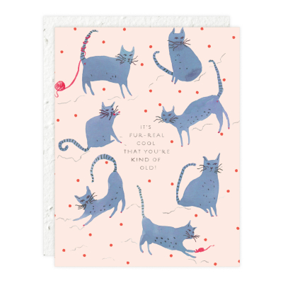 Playful Cats Birthday Card|Seedlings
