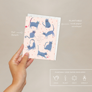 Playful Cats Birthday Card|Seedlings