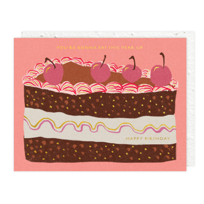 Slice Of Cake Birthday Card|Seedlings