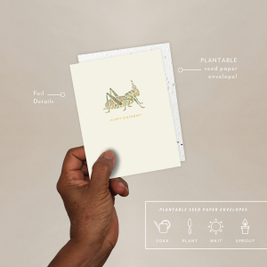 Hoppy Bday Birthday Card|Seedlings