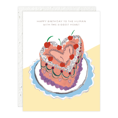 Heart Shaped Cake Birthday|Seedlings
