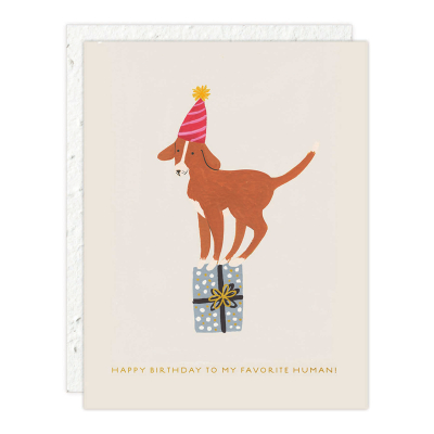 Birthday Dog Birthday Card|Seedlings