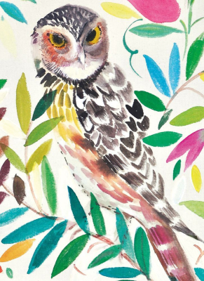 Wise Owl|Museums & Galleries