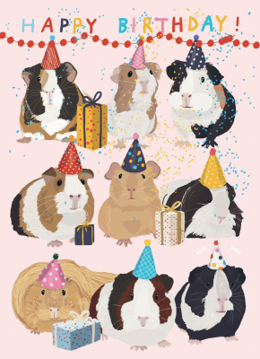 Birthday Guineas