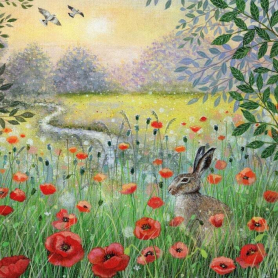 Hare And Poppies|Museums & Galleries