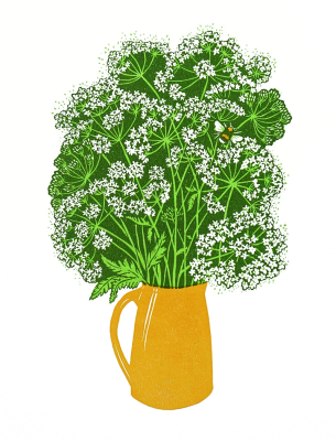 Cow Parsley And The Bee