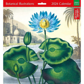 CALENDAR Botanical Illustrations