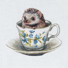Baby Hedgehog|Museums & Galleries