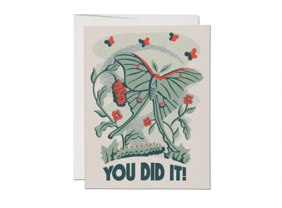 Congrats Wings|Red Cap Cards