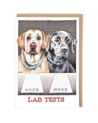 Lab Tests