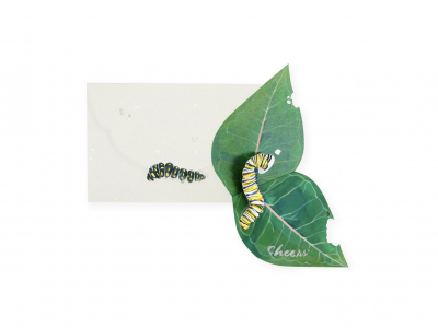 Caterpillar|UWP Luxe