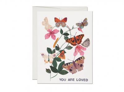 Flutter Love|Red Cap Cards