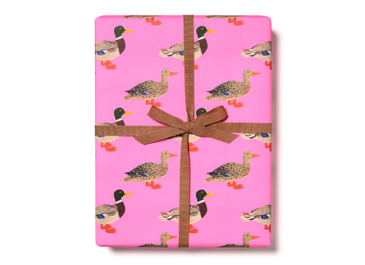 Quacky Birthday wrap roll|Red Cap Cards