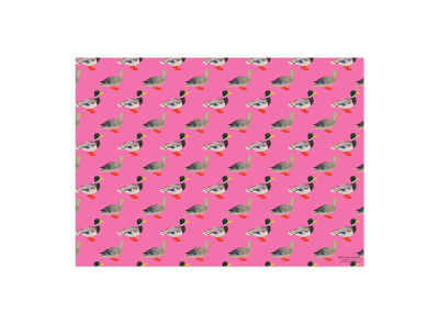 Quacky Birthday wrap|Red Cap Cards