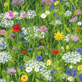 NOTECARD Wild Flower Garden