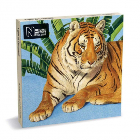 NOTECARD Tiger and Leopard