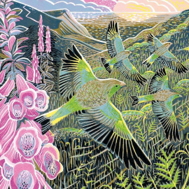 NOTECARD Morning Sunrise